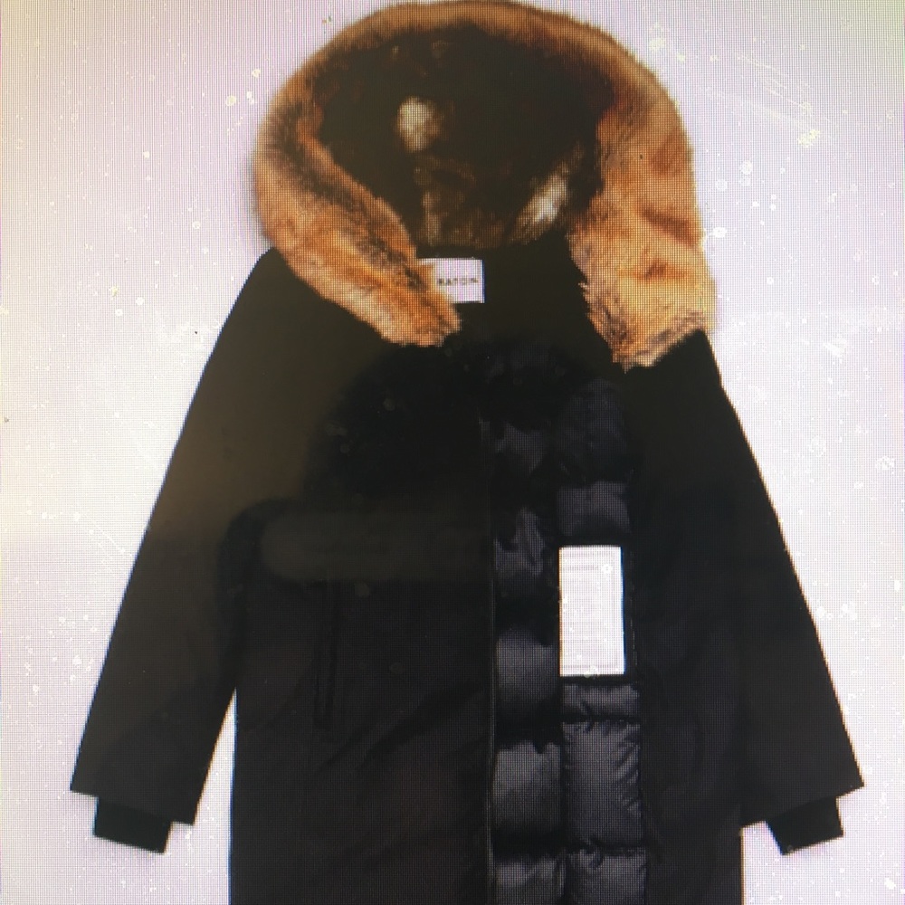 Aritizia Babaton Gilligan Parka